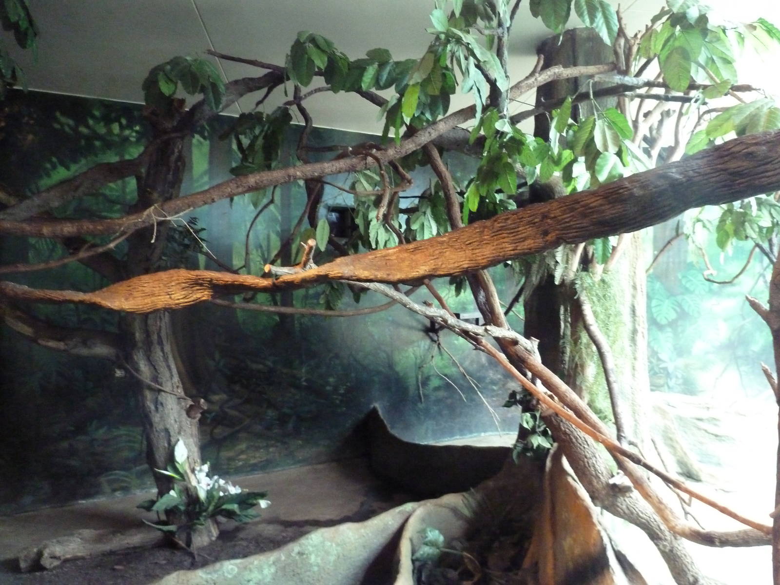 Natural Encounters - Mixed-Species Exhibit (9 Species)