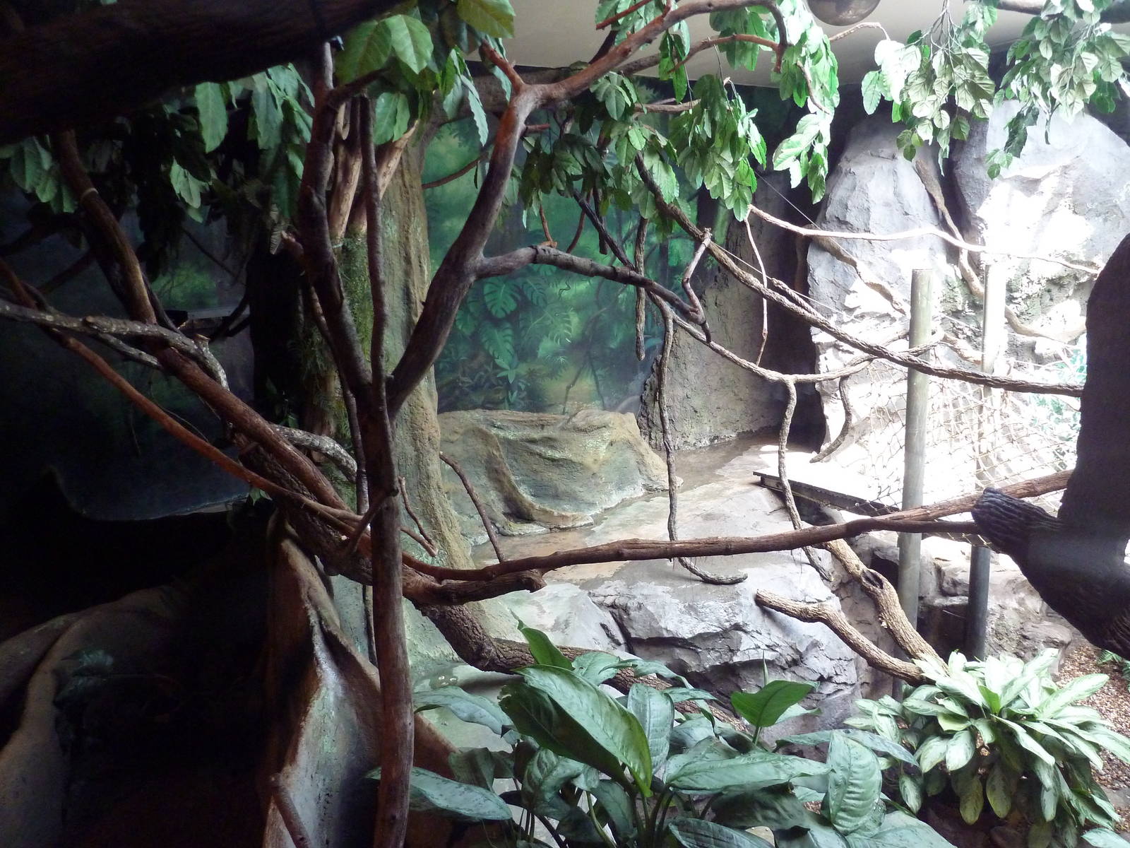 Natural Encounters - Mixed-Species Exhibit (9 Species)