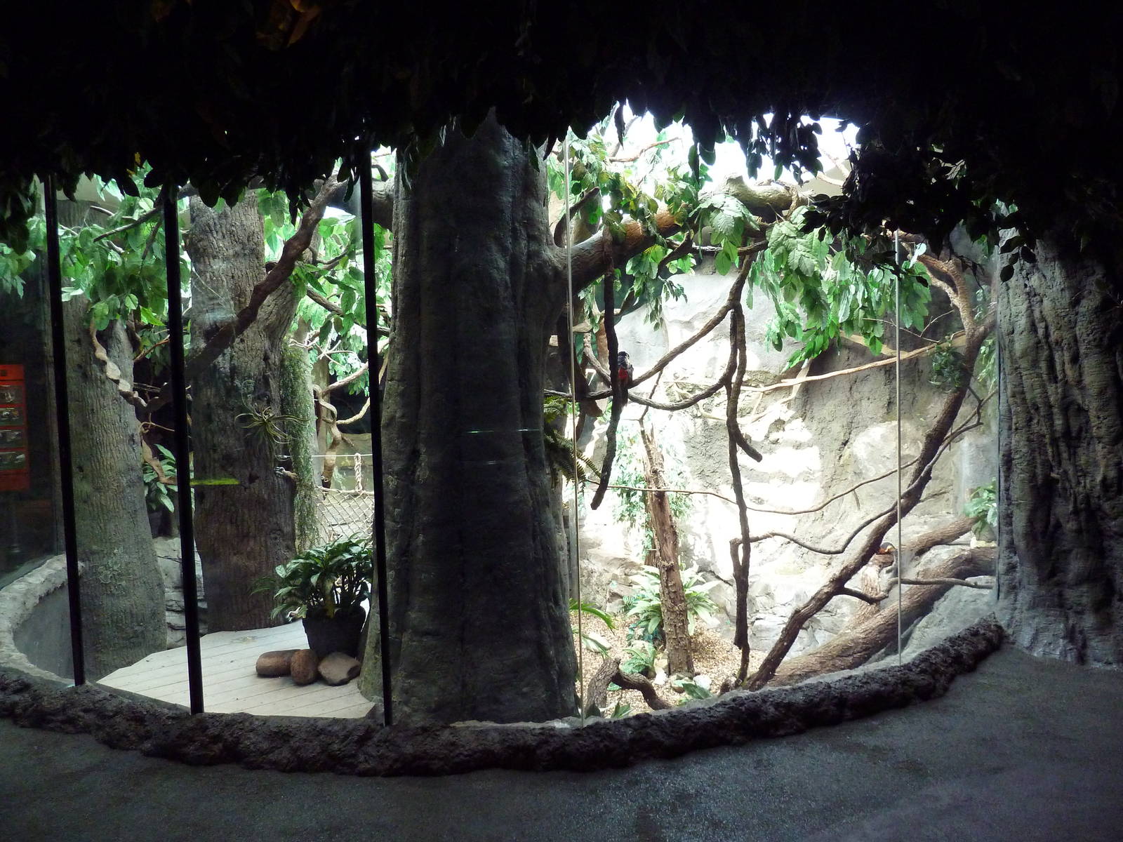 Natural Encounters - Mixed-Species Exhibit (9 Species)