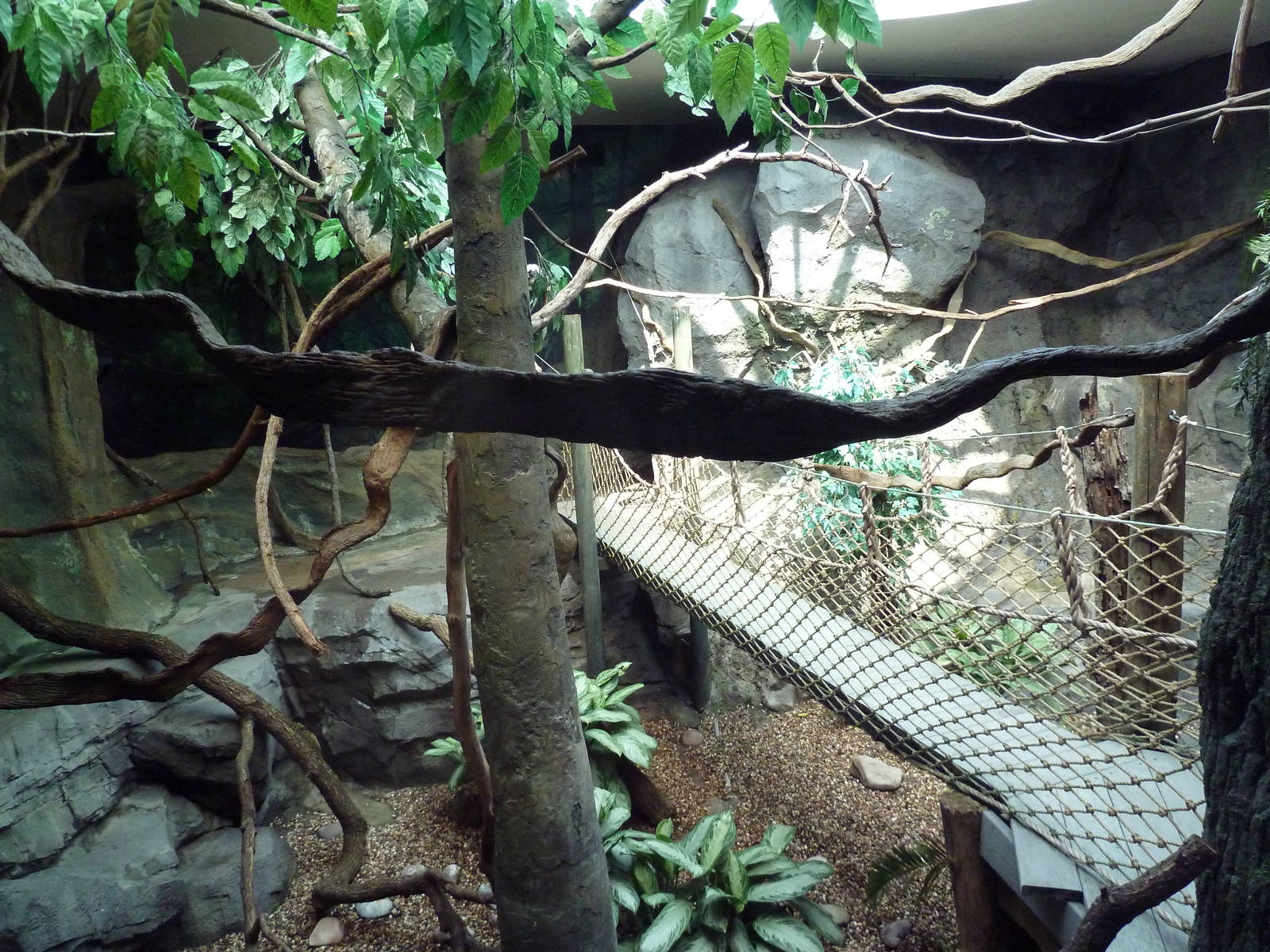 Natural Encounters - Mixed-Species Exhibit (9 Species)