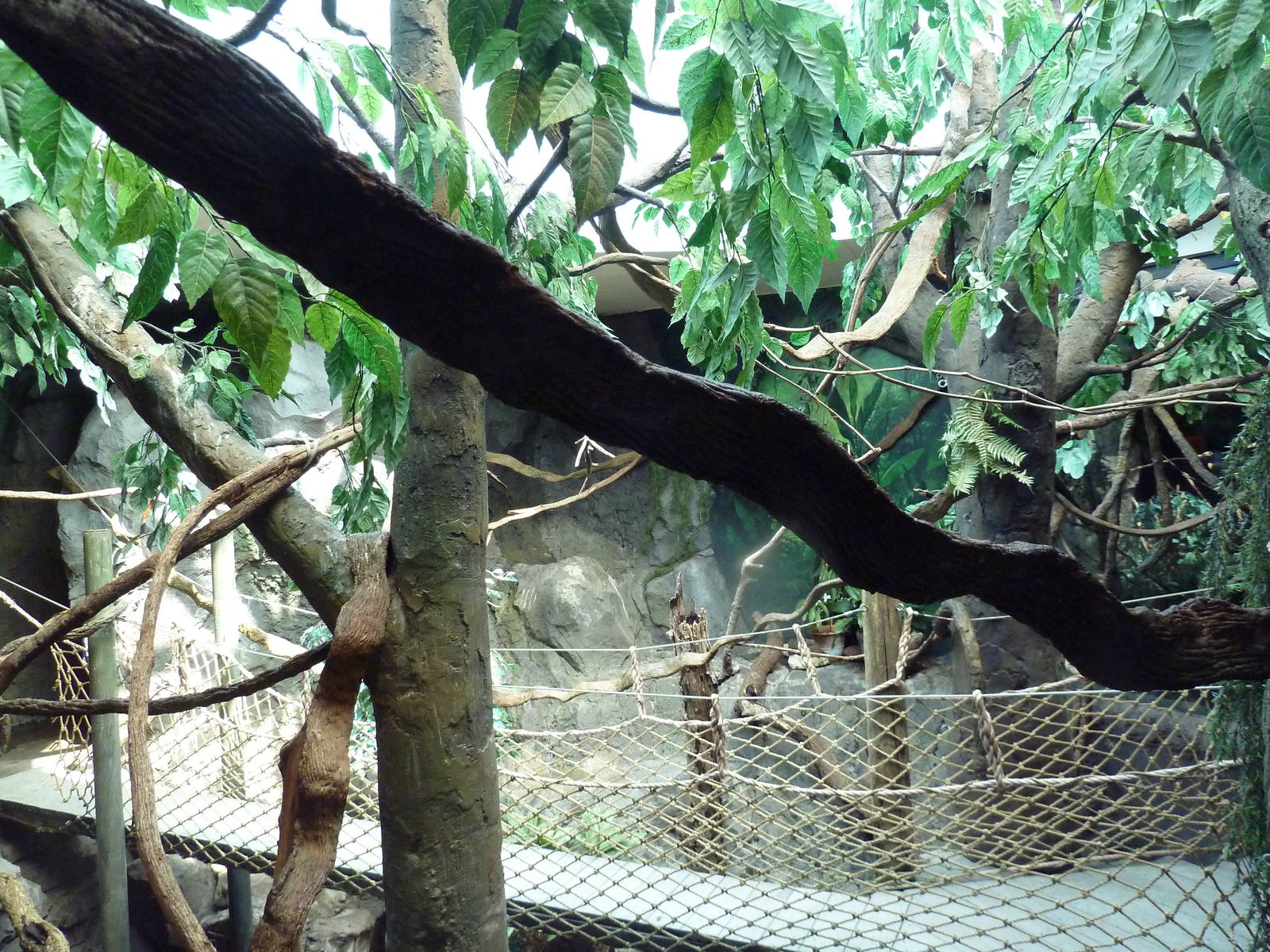 Natural Encounters - Mixed-Species Exhibit (9 Species)