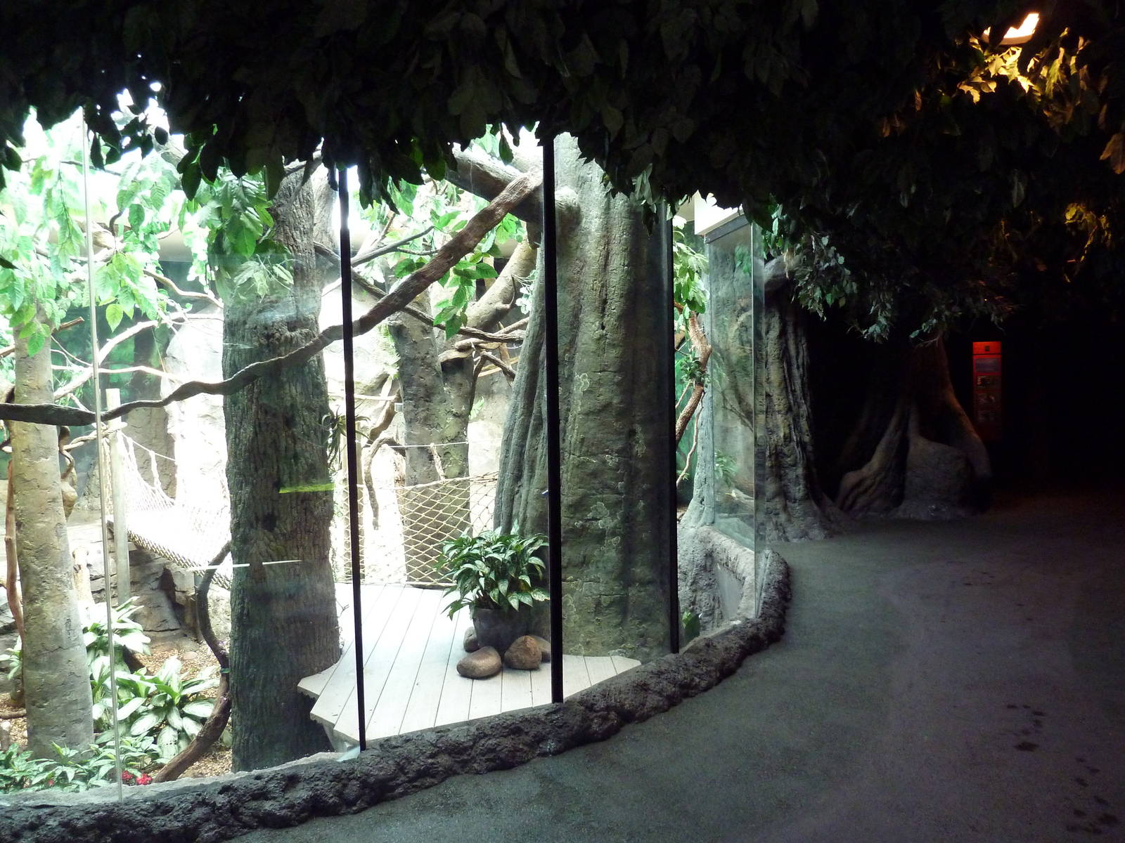 Natural Encounters - Mixed-Species Exhibit (9 Species)