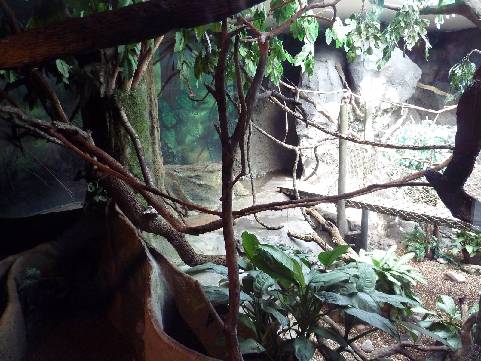 Natural Encounters - Mixed-Species Exhibit (9 Species)