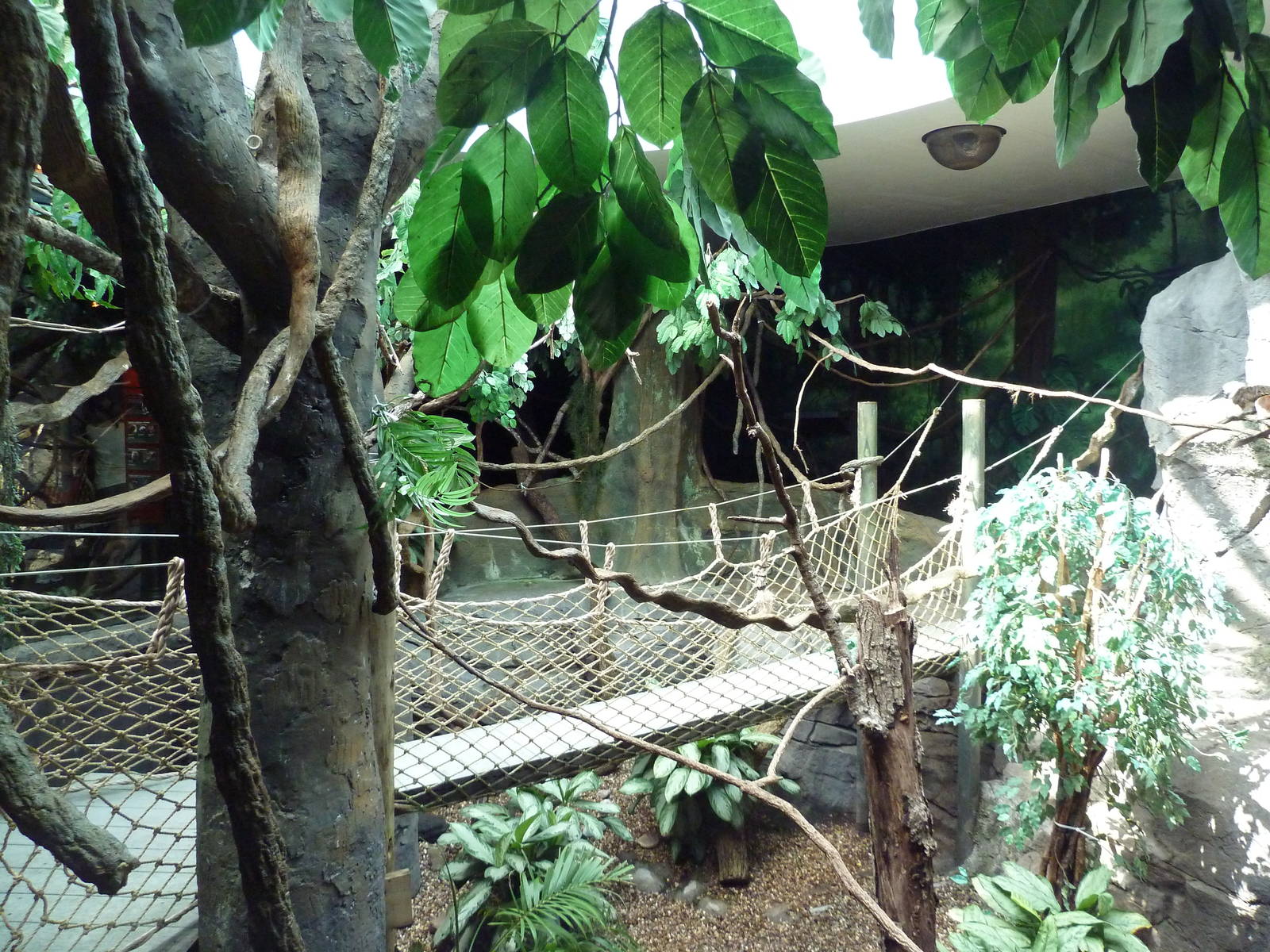 Natural Encounters - Mixed-Species Exhibit (9 Species)