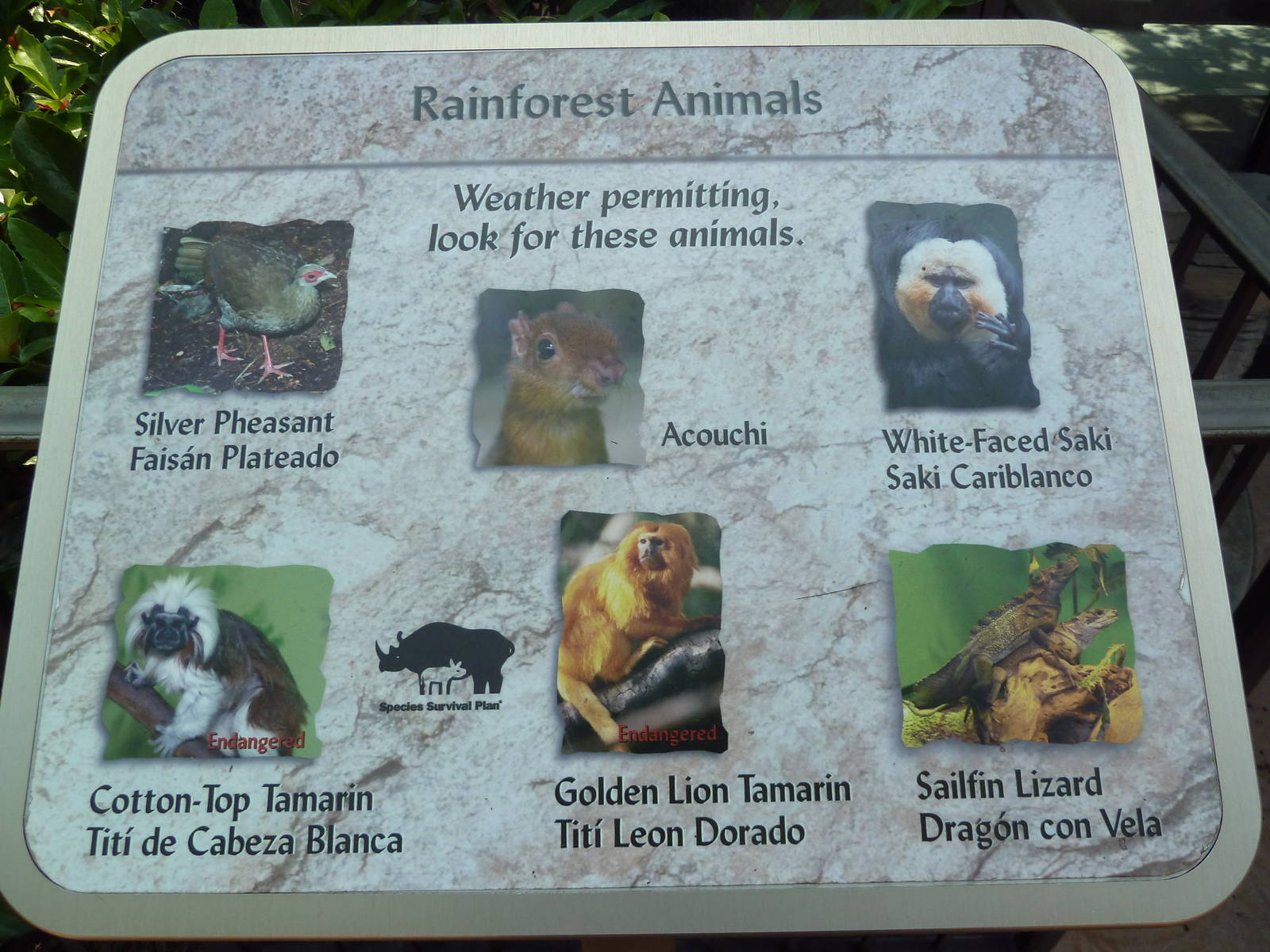 Natural Encounters - Mixed-Species Exhibit (9 Species)