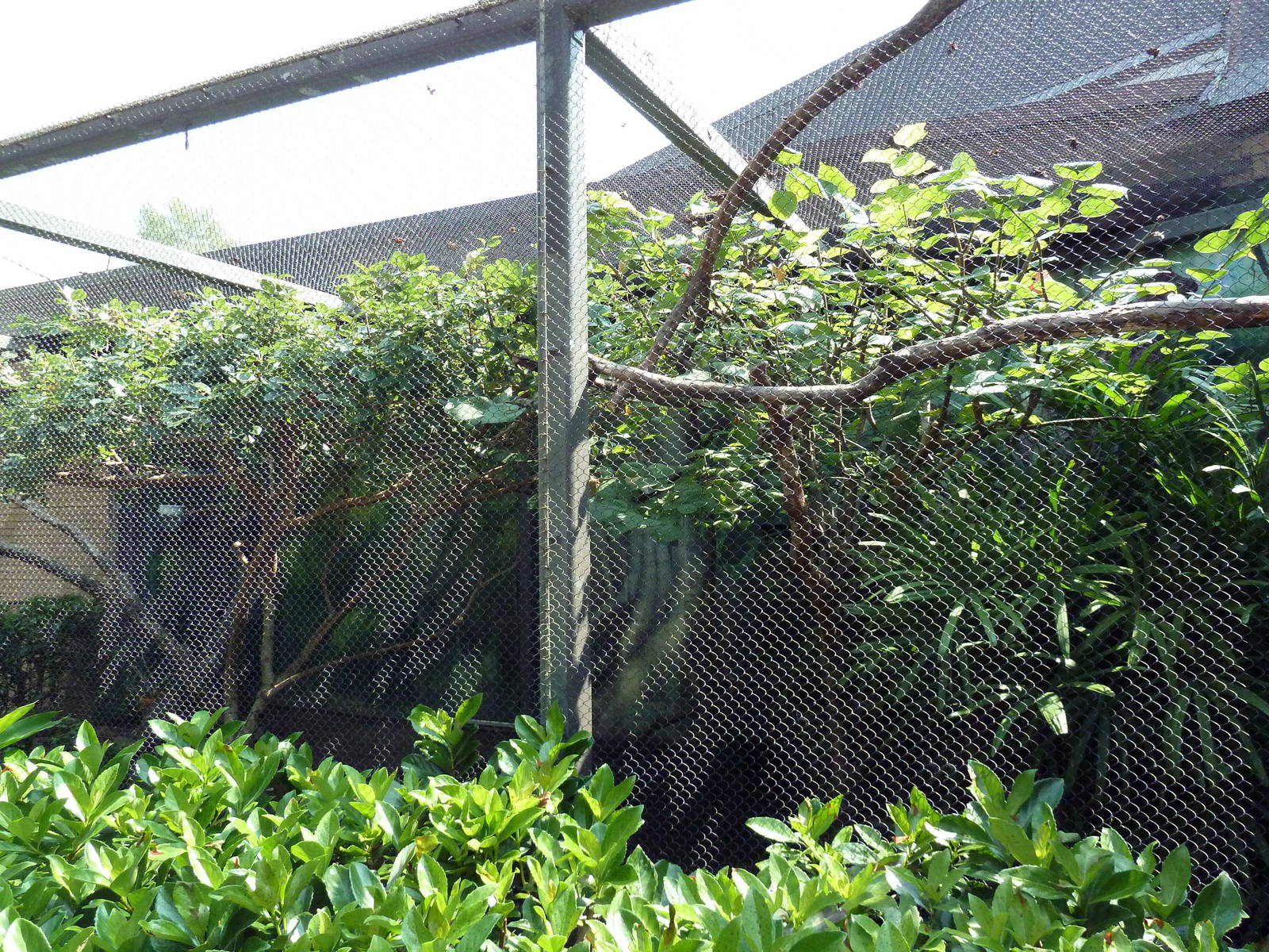 Natural Encounters - Mixed-Species Exhibit (9 Species)