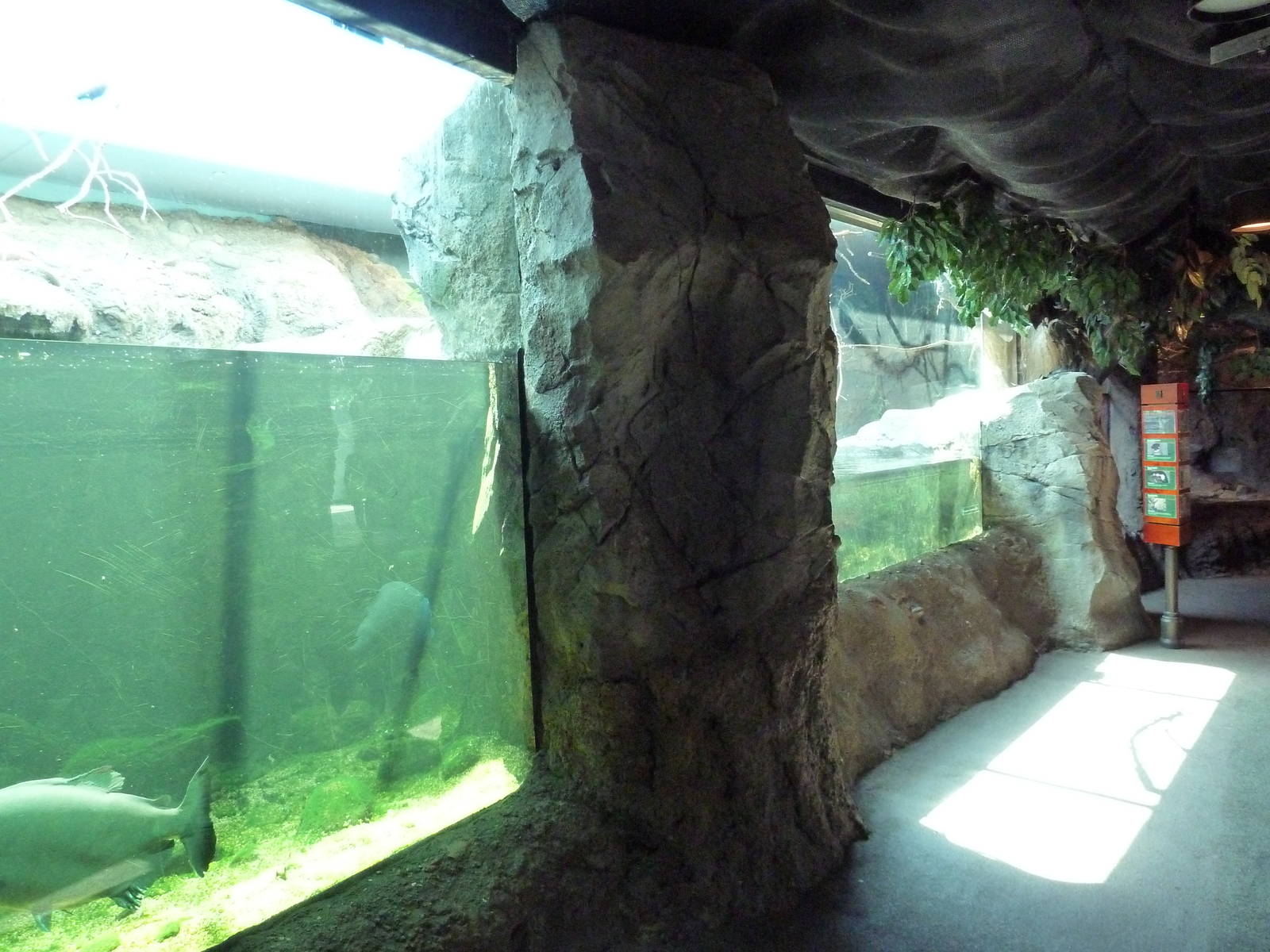 Natural Encounters - Piranha Exhibit