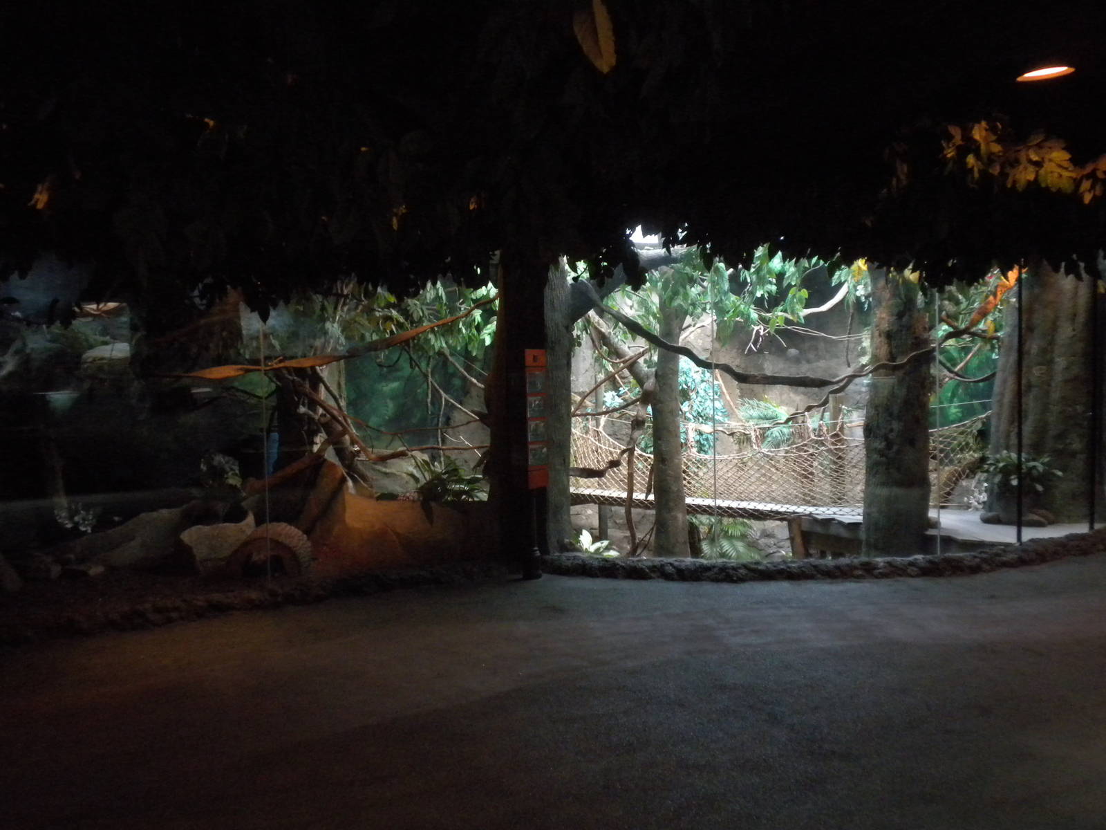 Natural Encounters Rainforest Exhibit