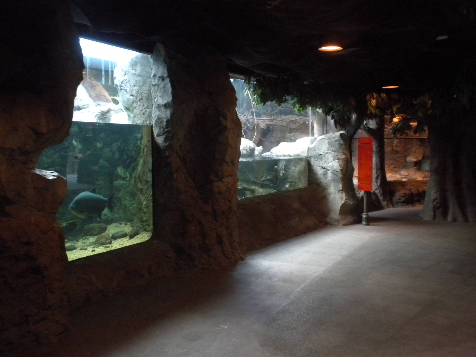 Natural Encounters River Exhibit