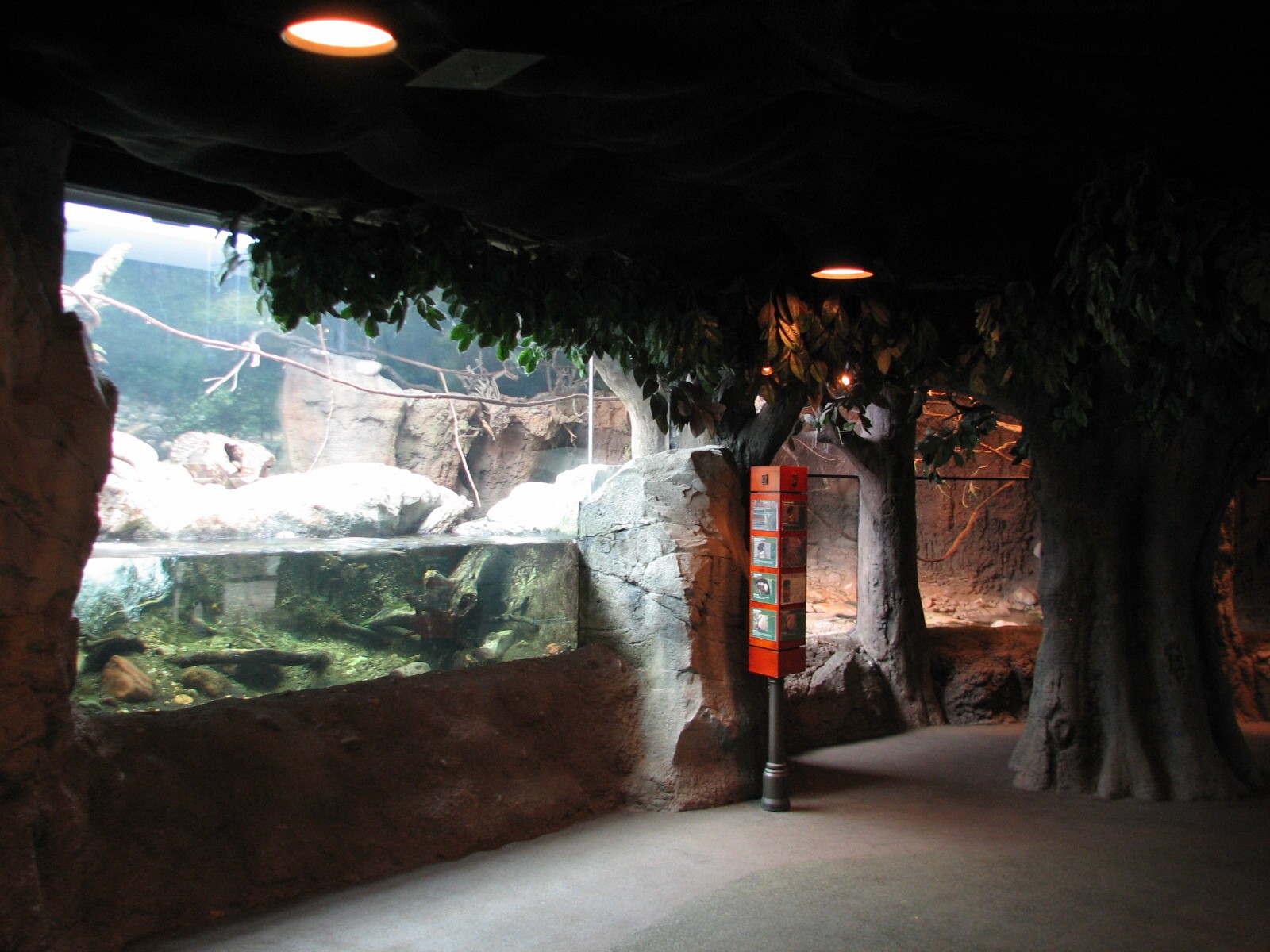 Natural Encounters - Rivers Edge - Asian Small-clawed Otter Mixed Species E