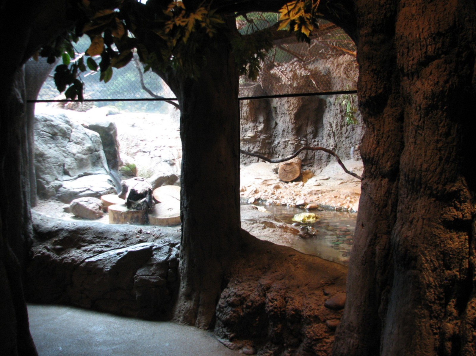 Natural Encounters - Rivers Edge - Asian Small-clawed Otter Mixed Species E