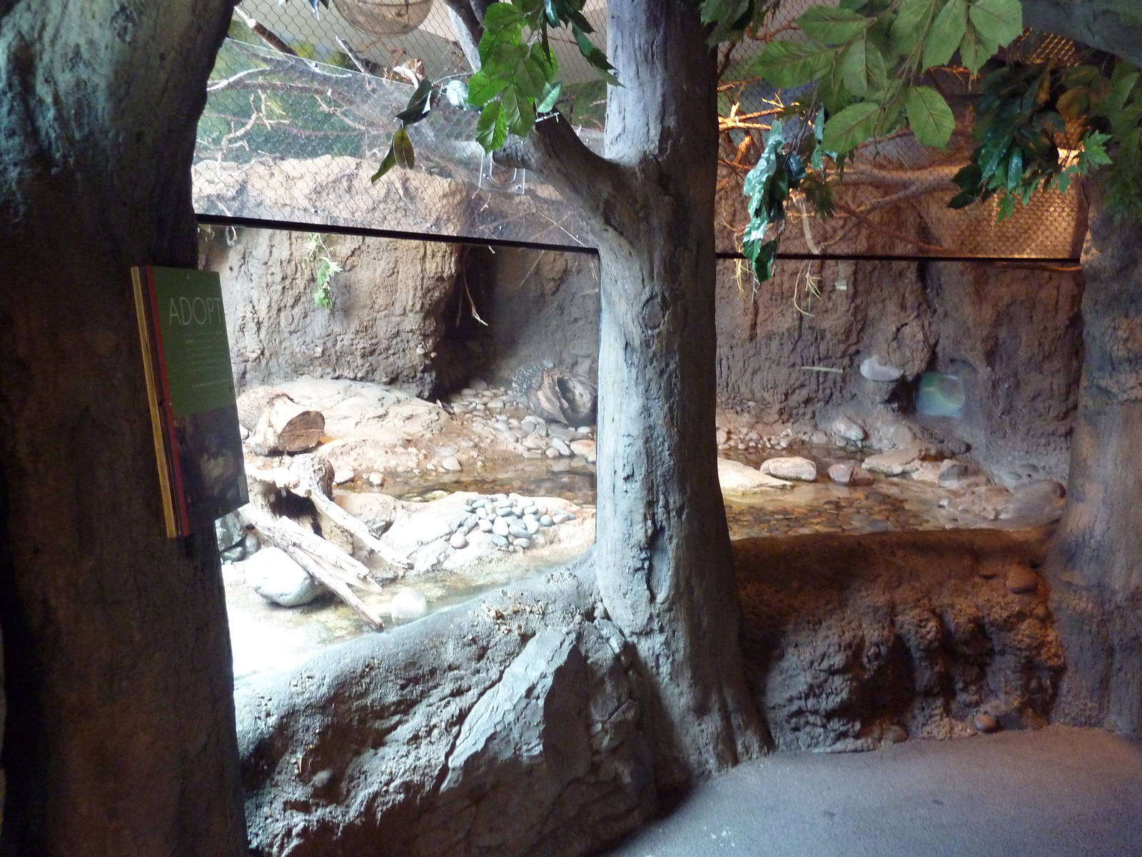 Natural Encounters - Small-Clawed Otter/Prevost's Squirrel/Bengal Slow Lori