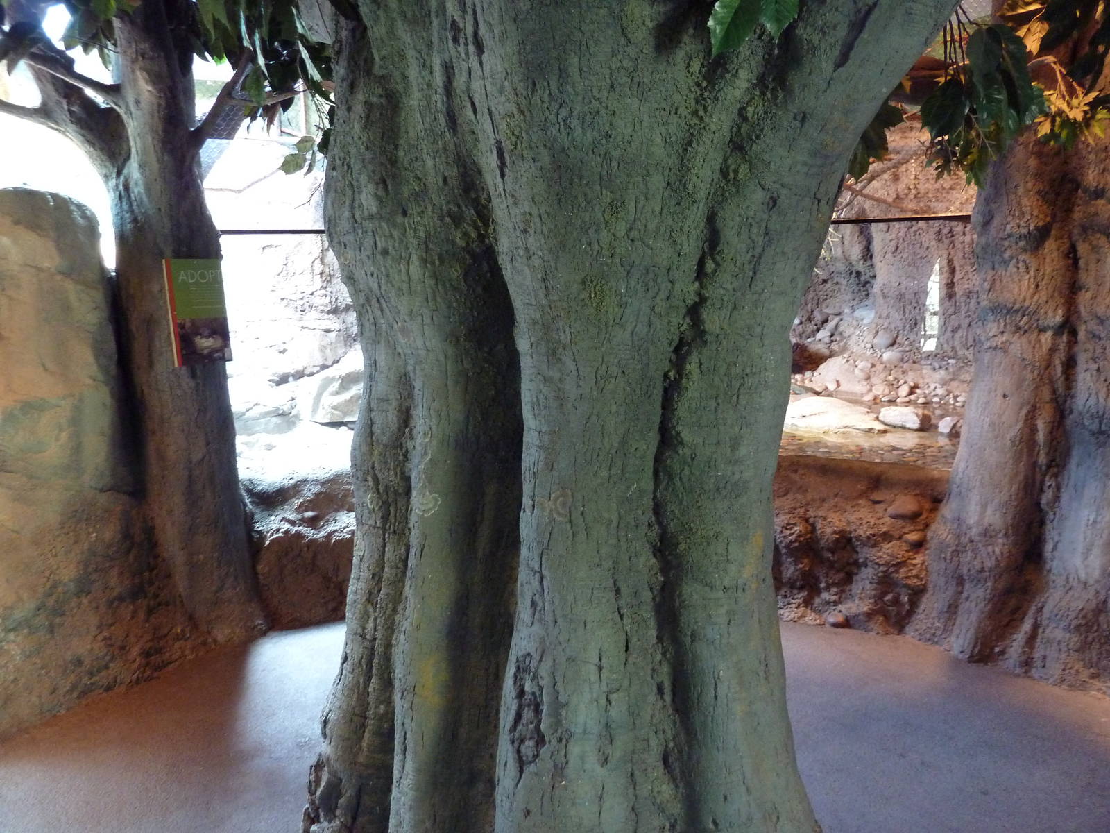 Natural Encounters - Small-Clawed Otter/Prevost's Squirrel/Bengal Slow Lori