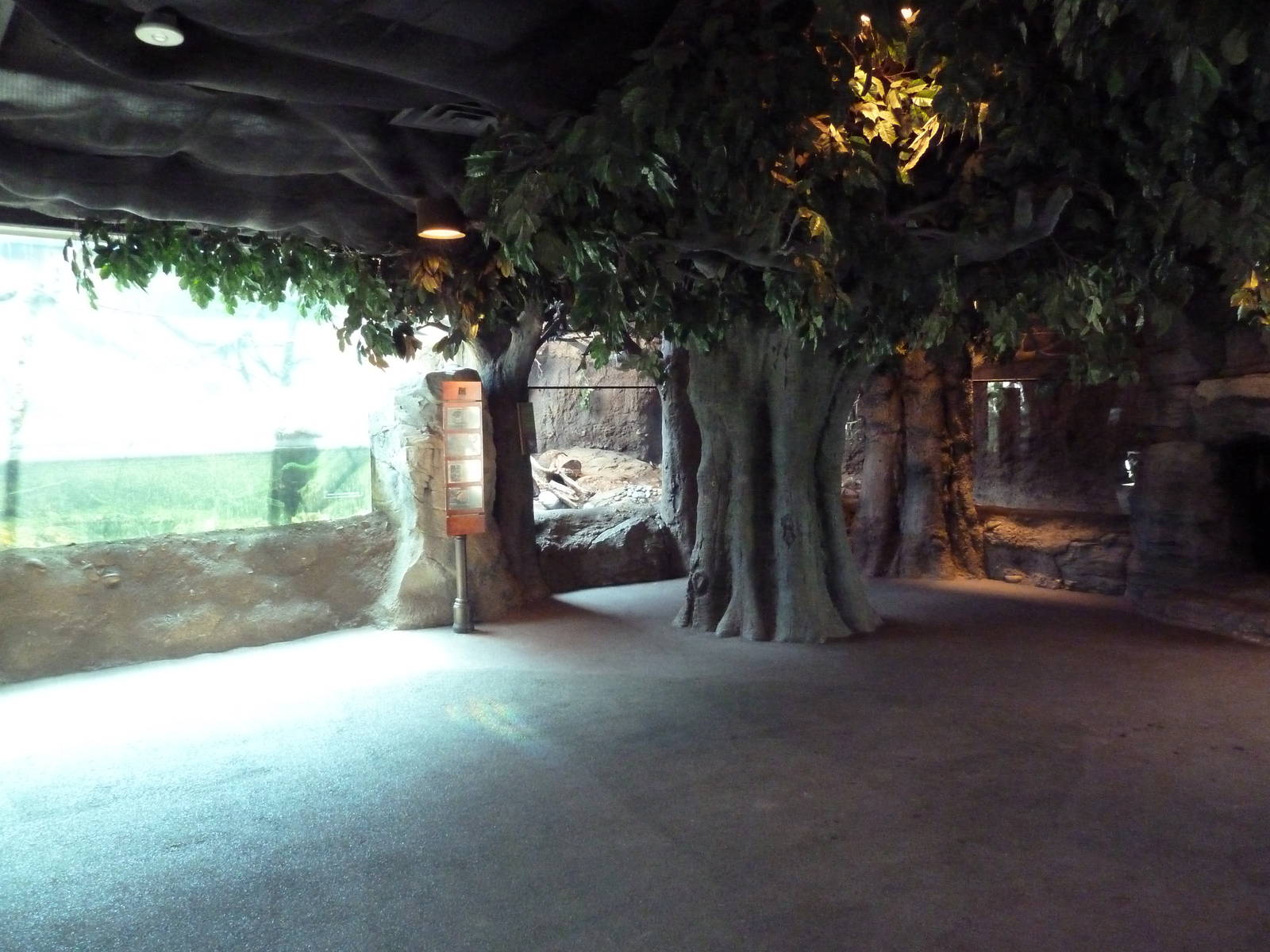 Natural Encounters - Small-Clawed Otter/Prevost's Squirrel/Blue-Bellied Rol