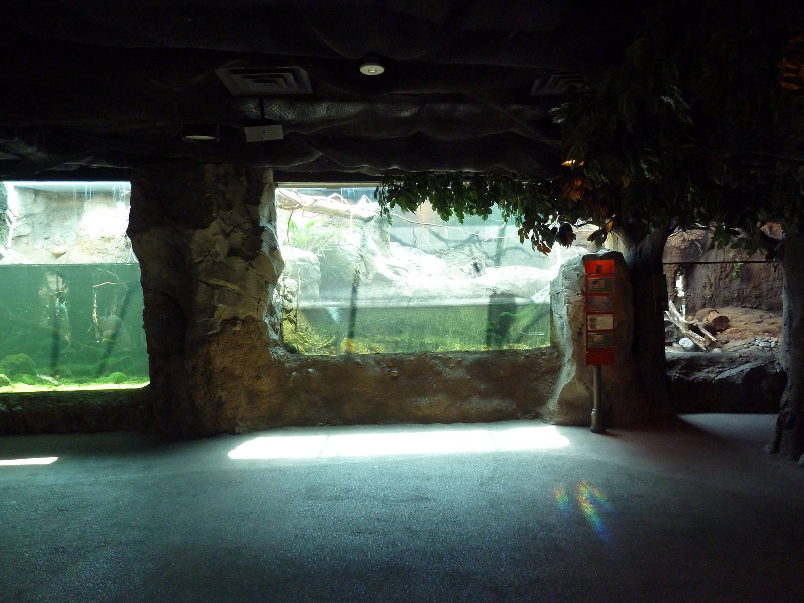 Natural Encounters - Small-Clawed Otter/Prevost's Squirrel/Blue-Bellied Rol