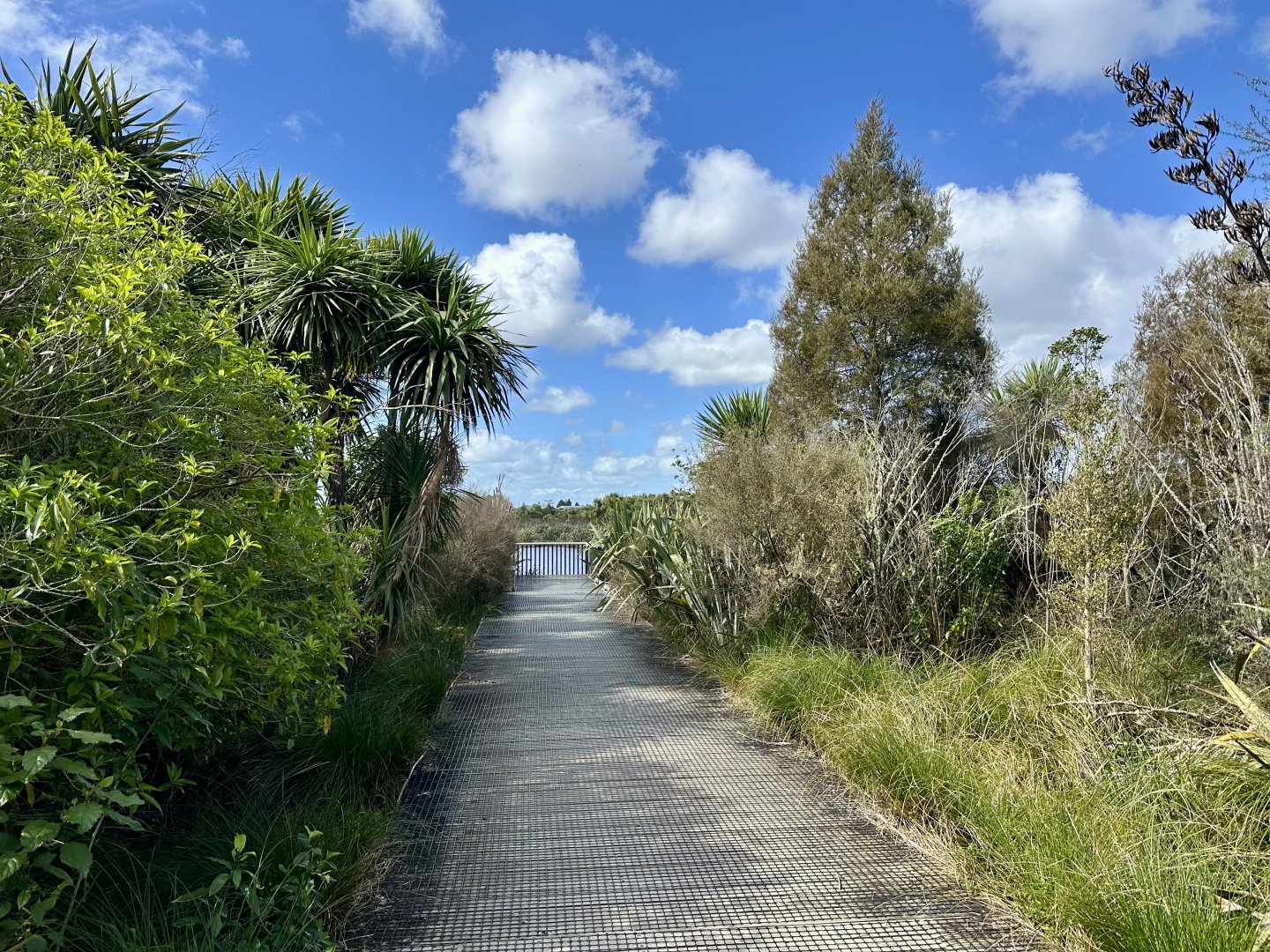 Natural Heritage Park - Jetty