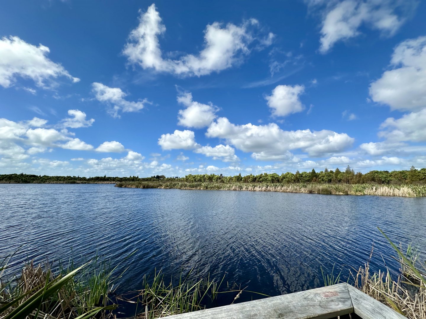 Natural Heritage Park - Lake