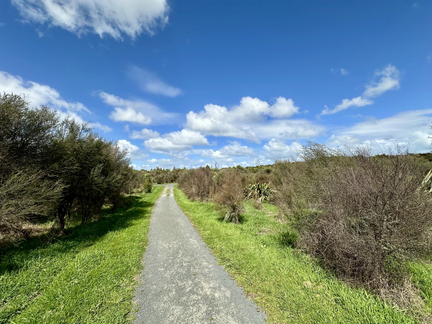 Natural Heritage Park - Walking Track