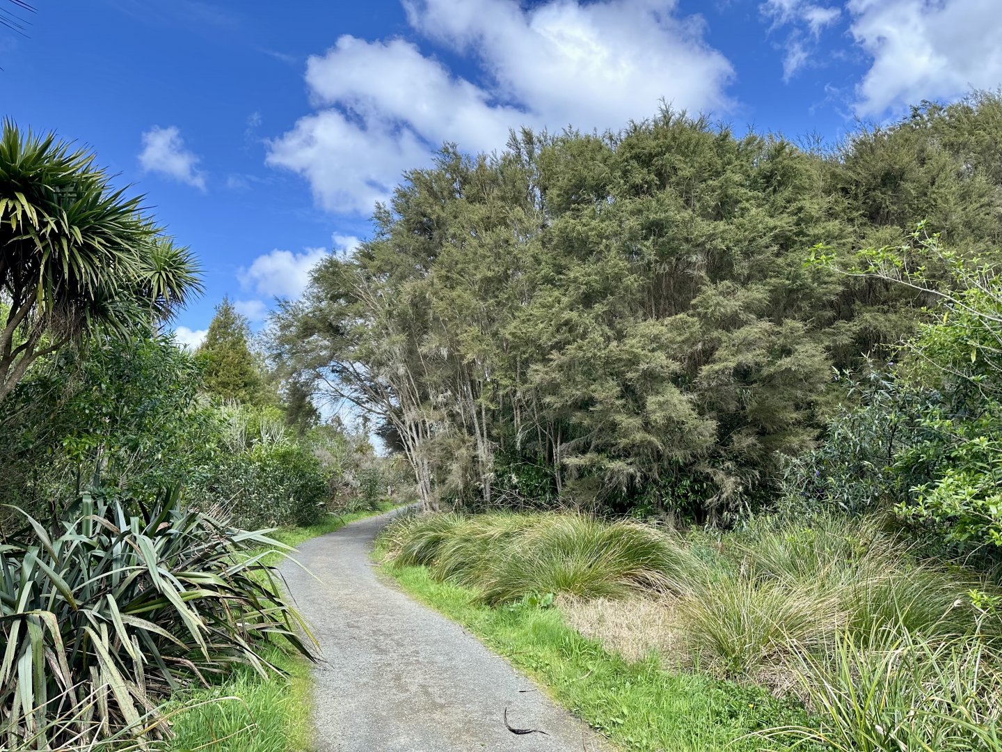 Natural Heritage Park - Walking Track