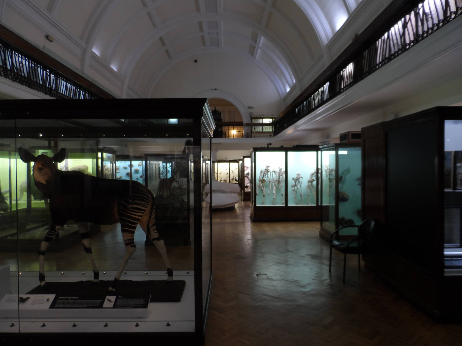 Natural History Collections