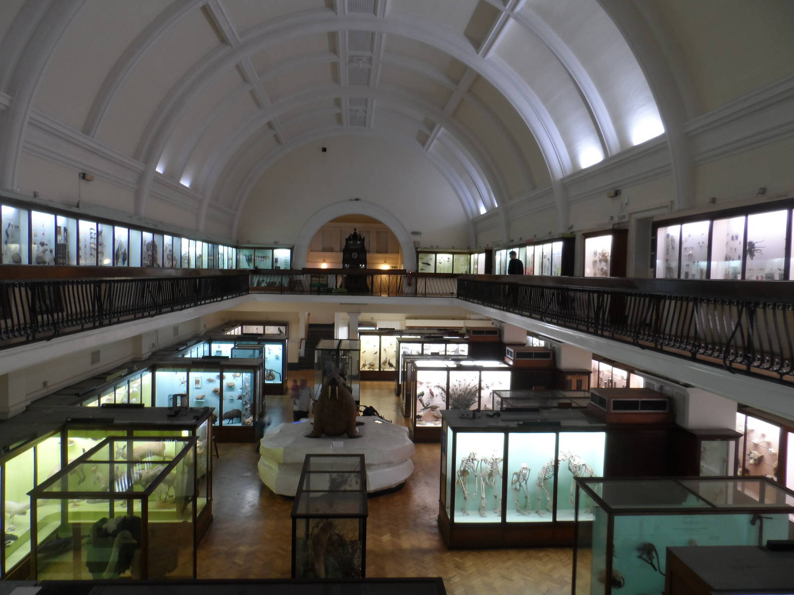 Natural History Collections