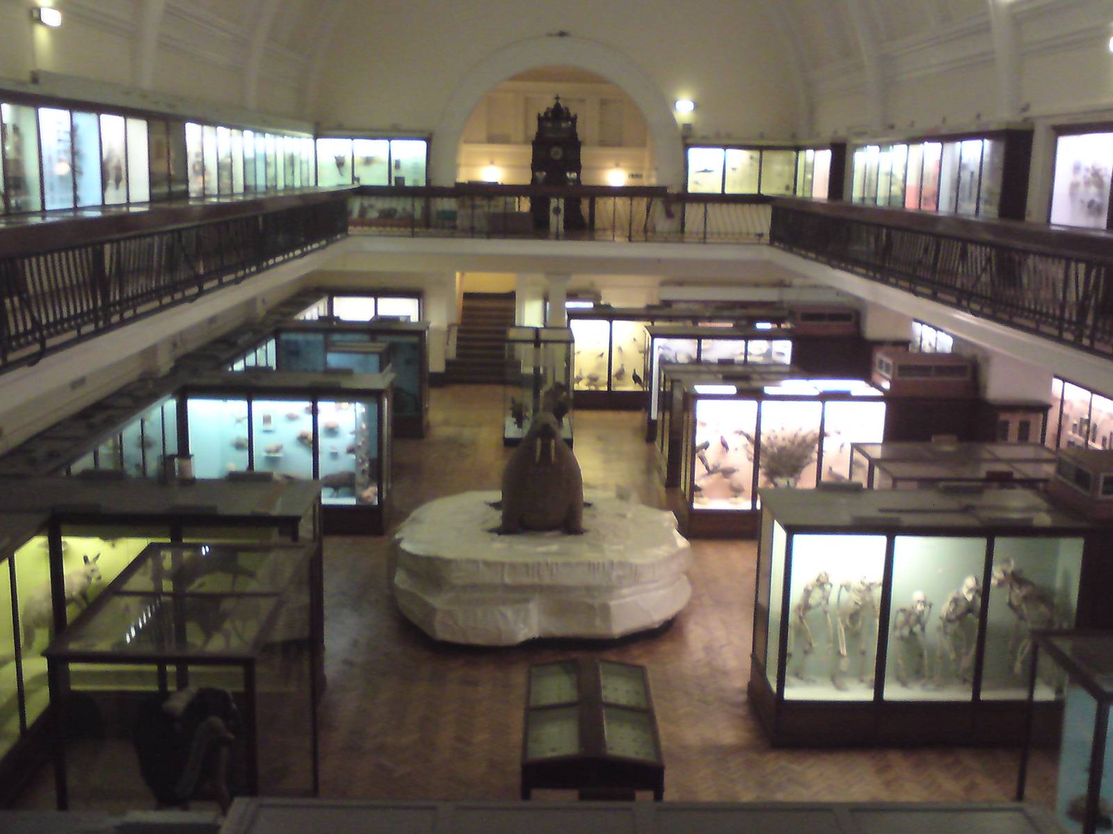 Natural History Gallery overview