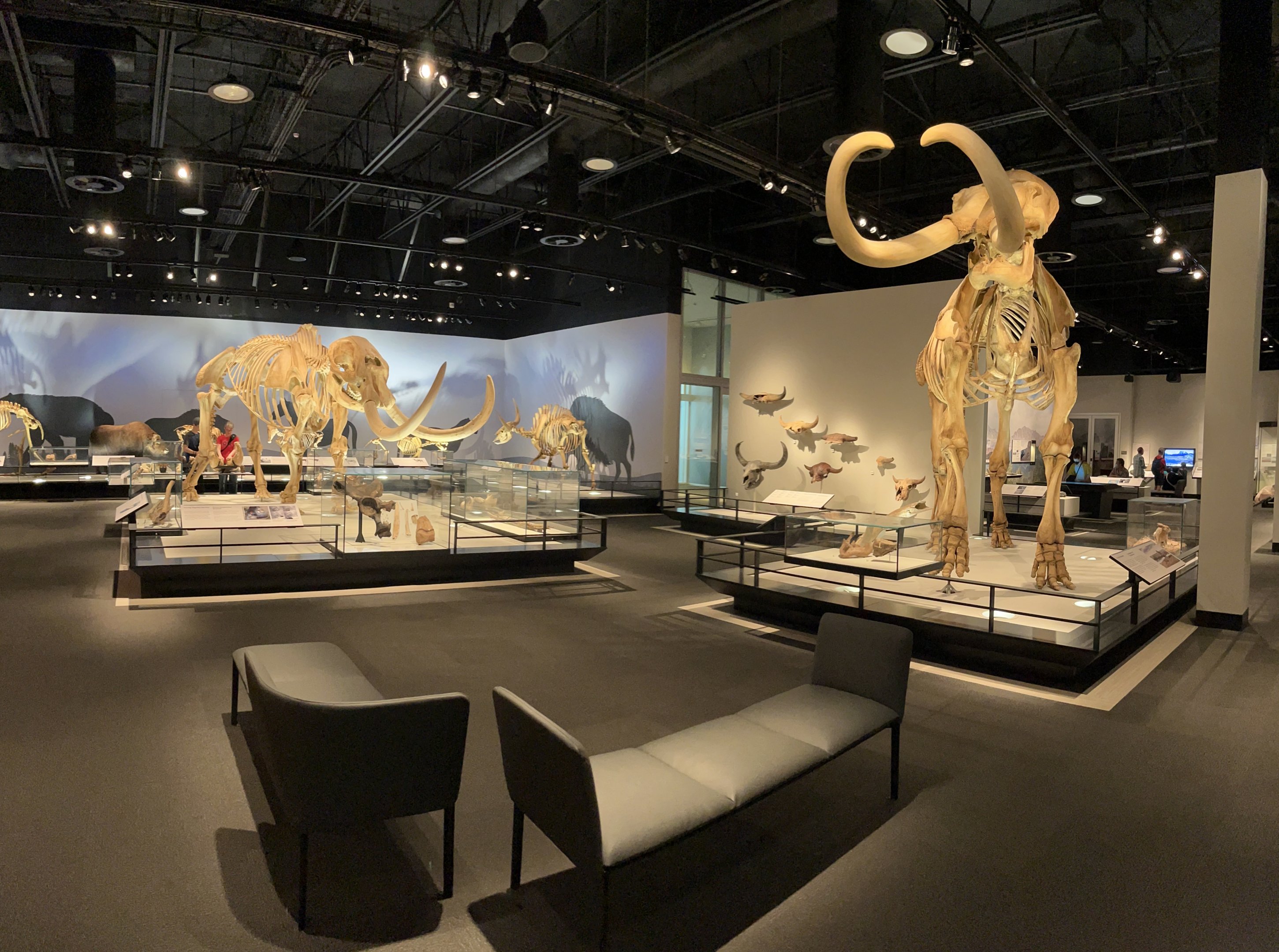 Natural History Gallery