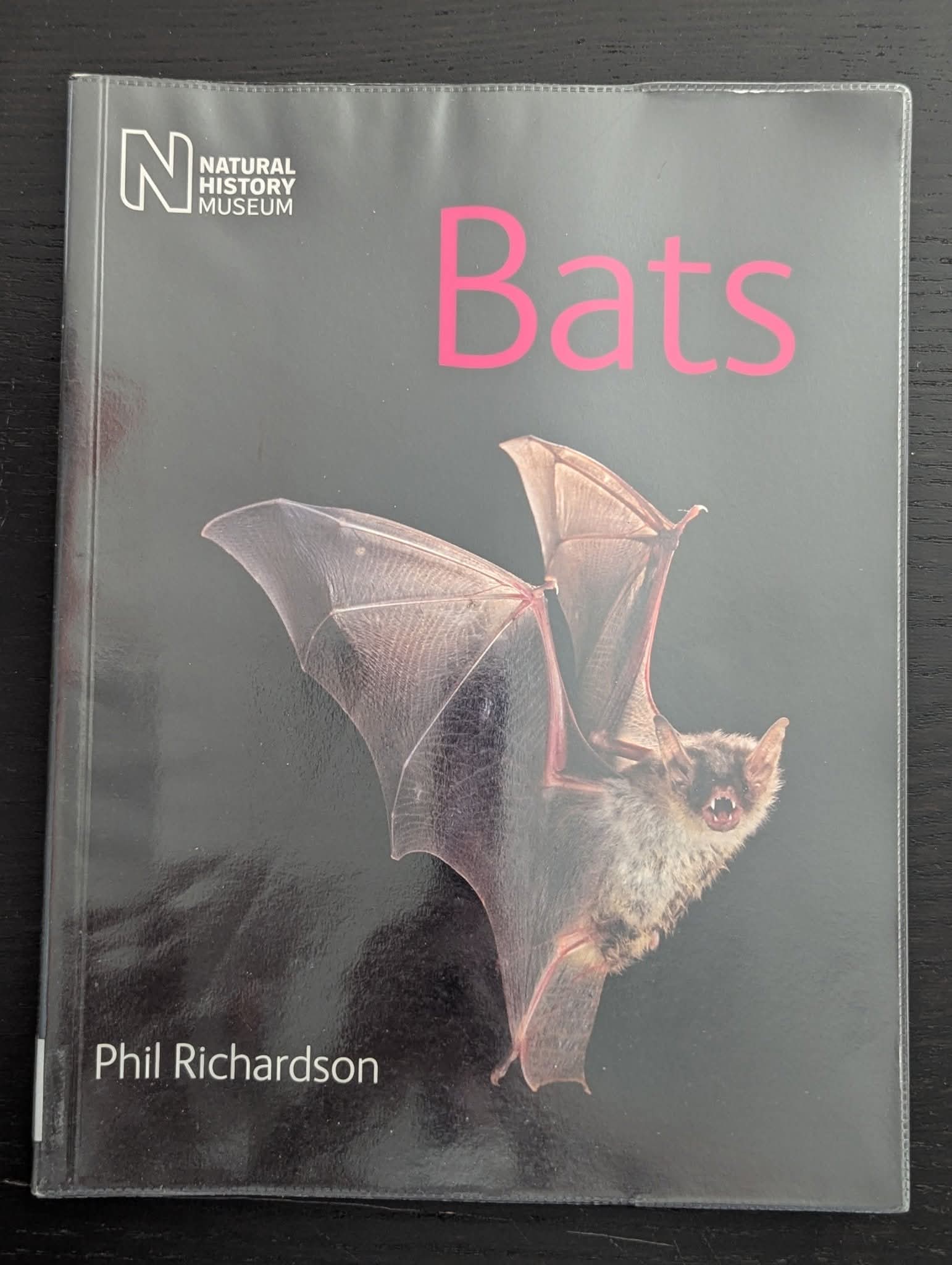 Natural History Museum: Bats