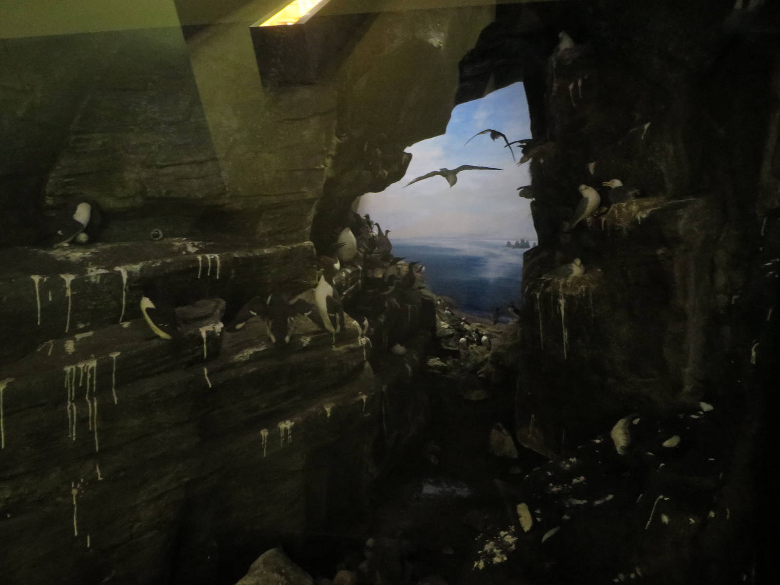 Natural History Museum Bern - Nordic panorama