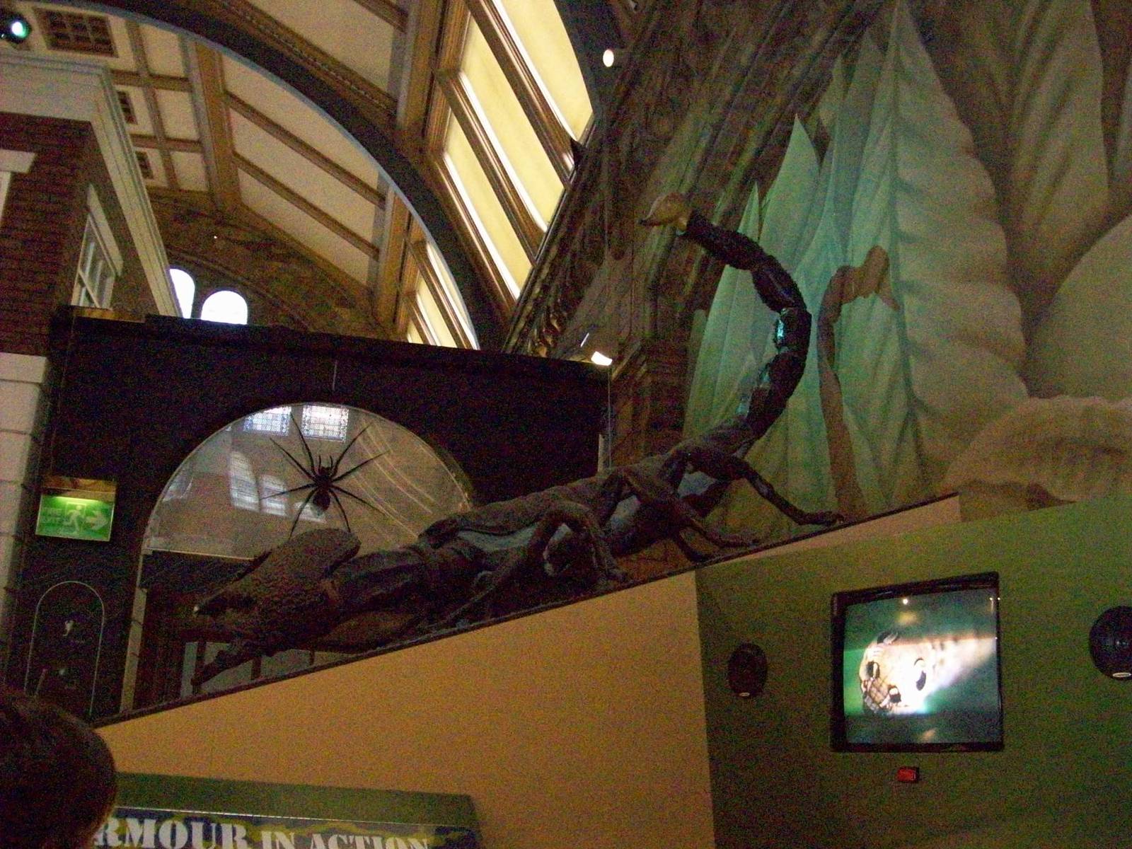 natural history museum