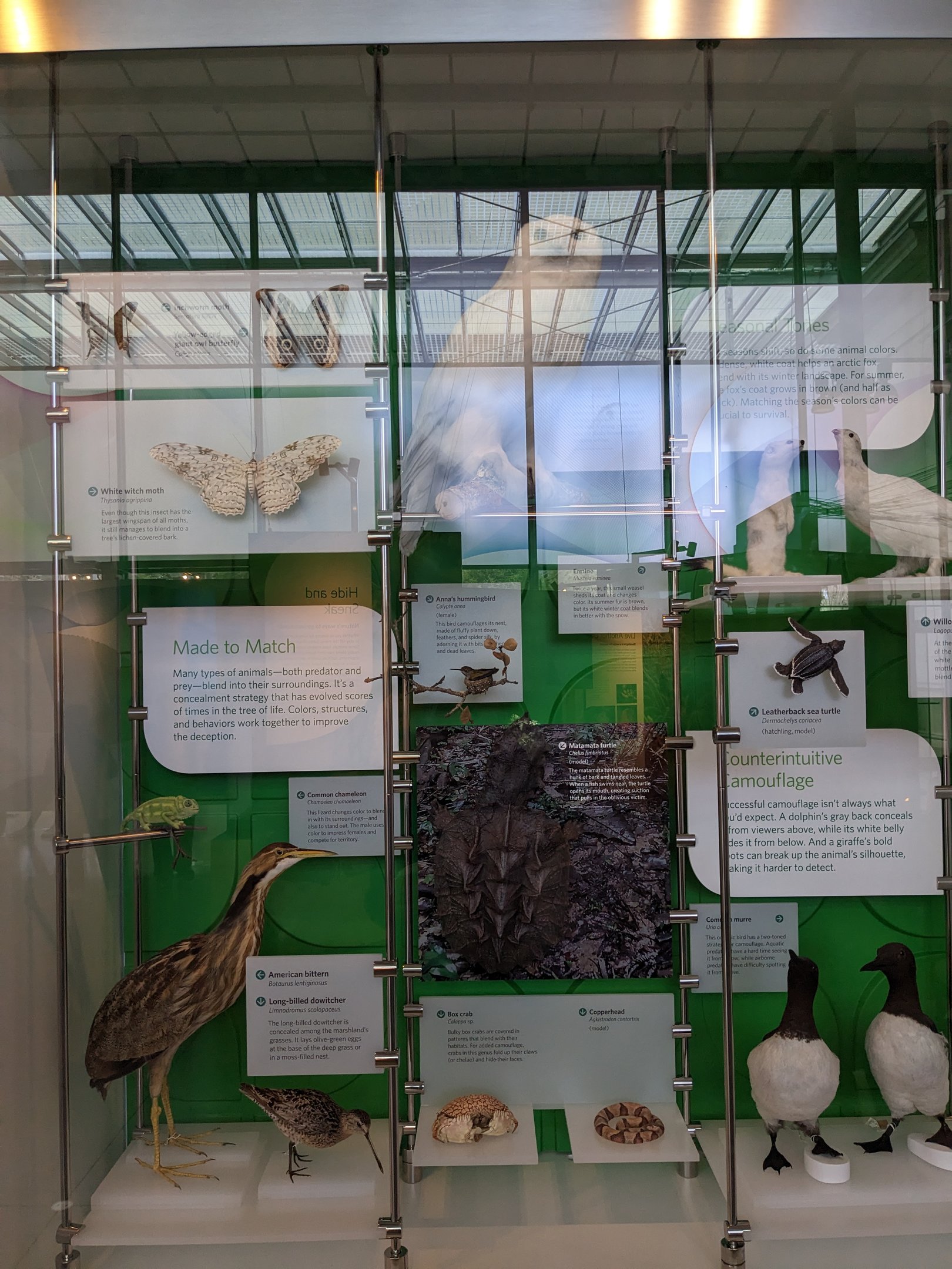 Natural History Museum