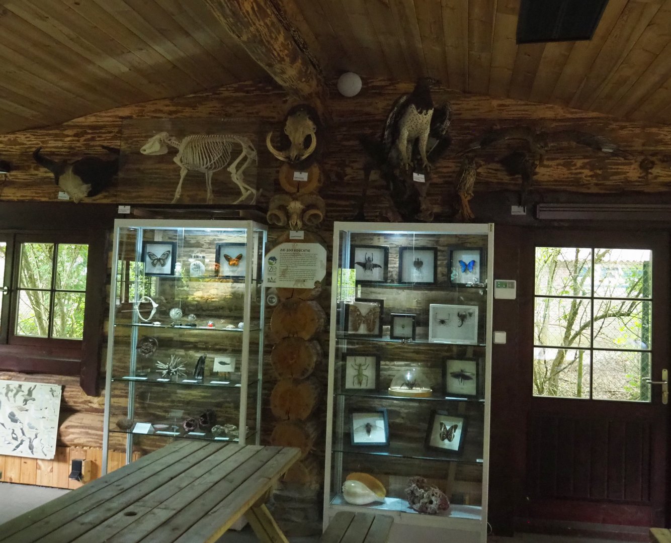 Natural history specimen display cabinets, 2022-05-17