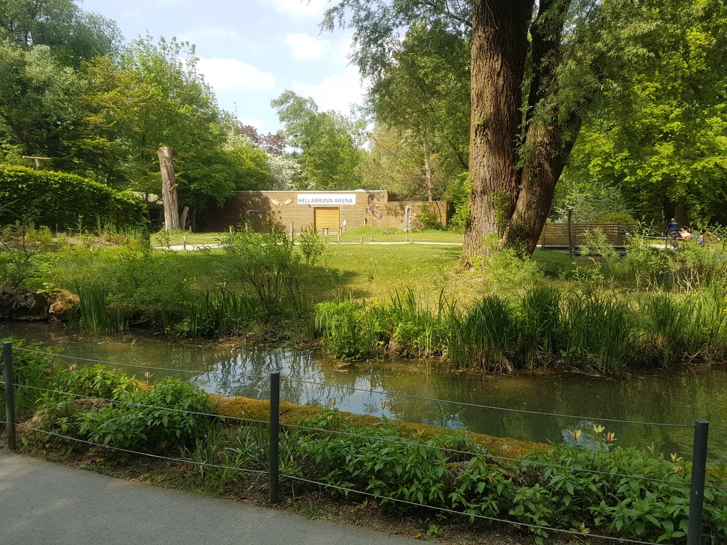 Natural Look, Pathway