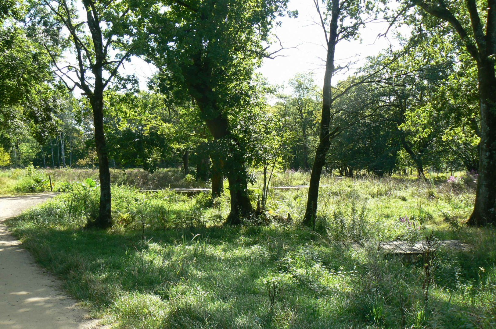 Natural reserve after the indian plain