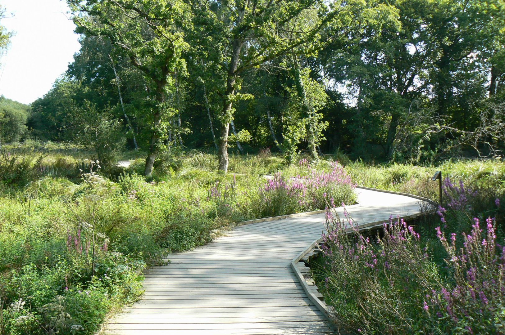 Natural reserve after the indian plain