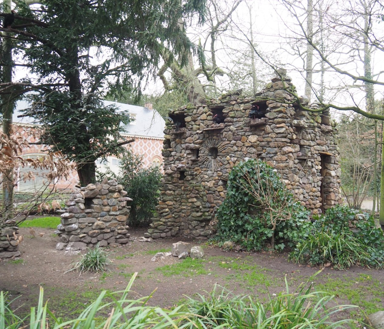 Natural rock bird house in the European walk-through aviary, 2023-02-19