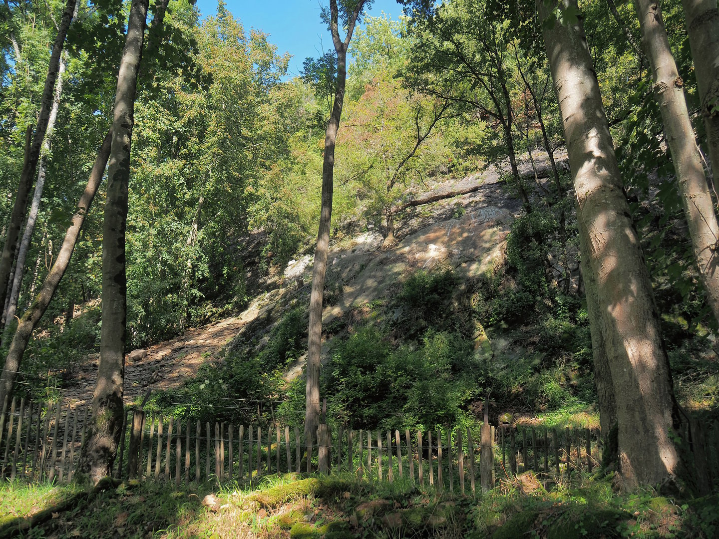 Natural rock face exhibit for non-flighted Eurasian griffon vultures, 2023-09-26