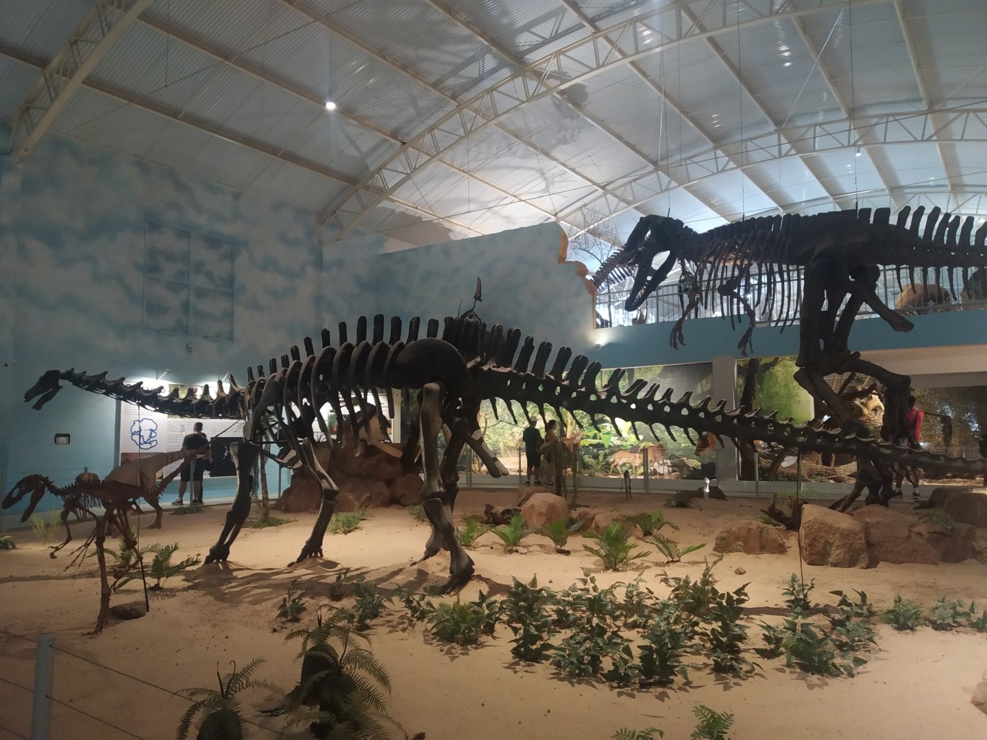 Natural Science Museum