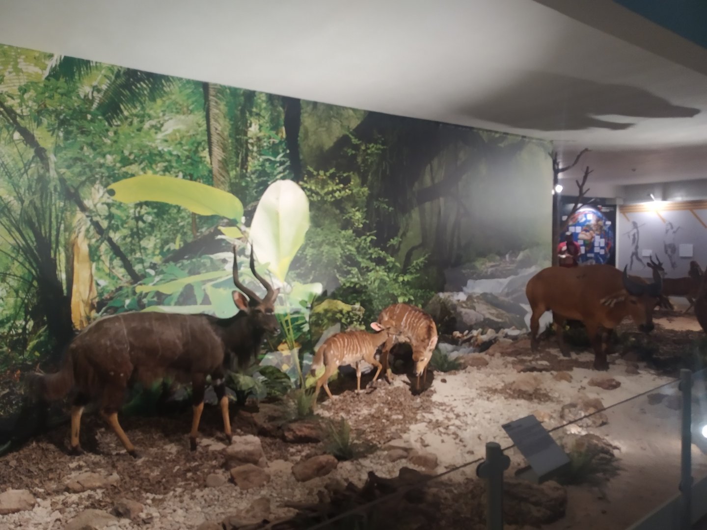 Natural Science Museum