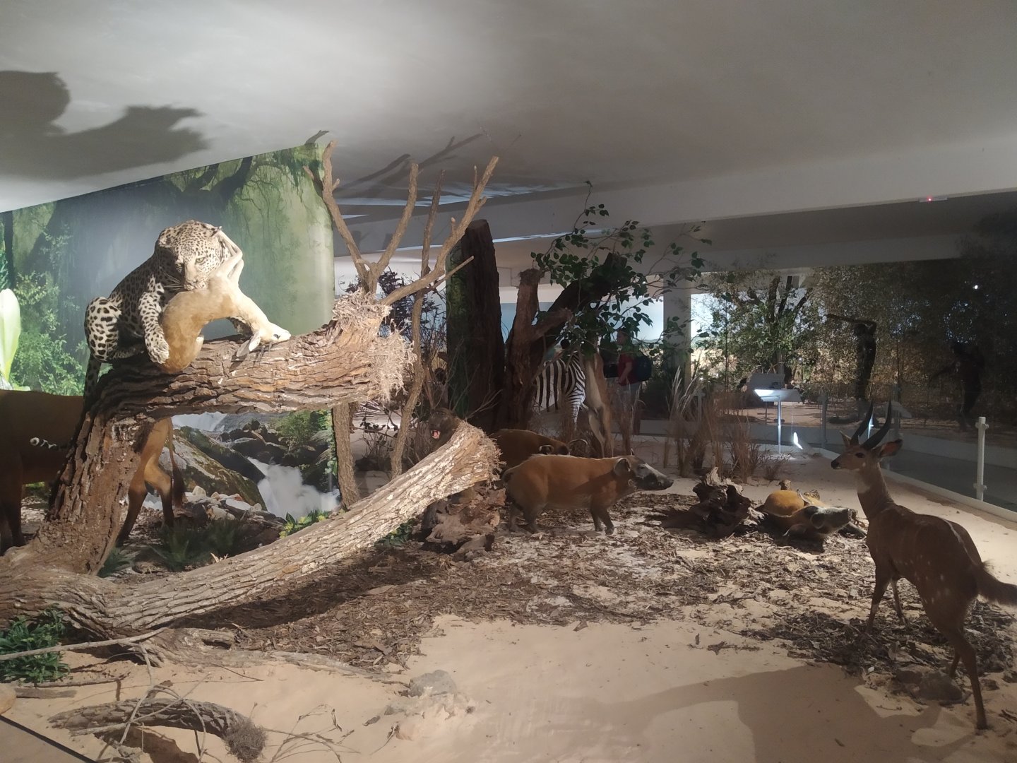 Natural Science Museum