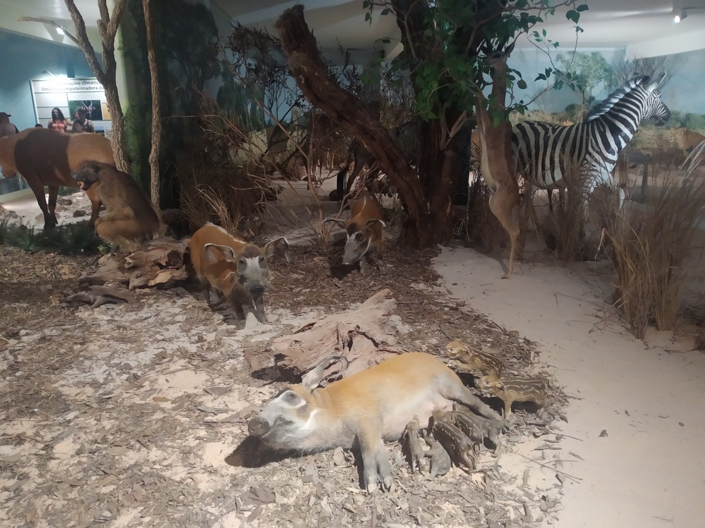 Natural Science Museum