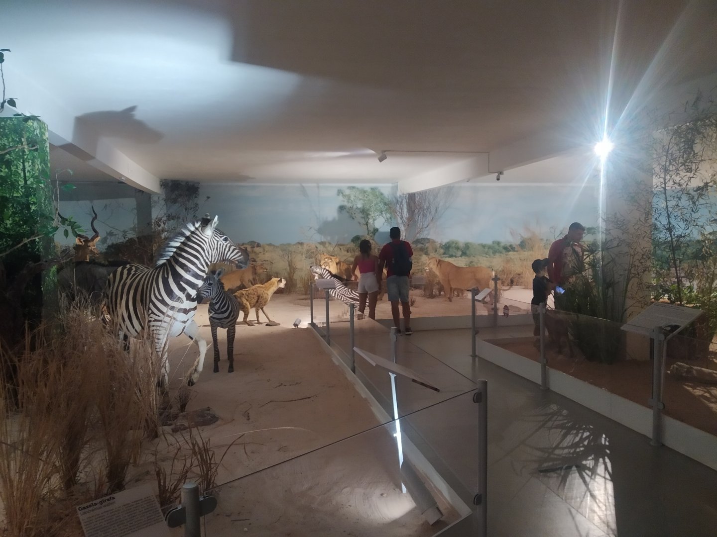 Natural Science Museum