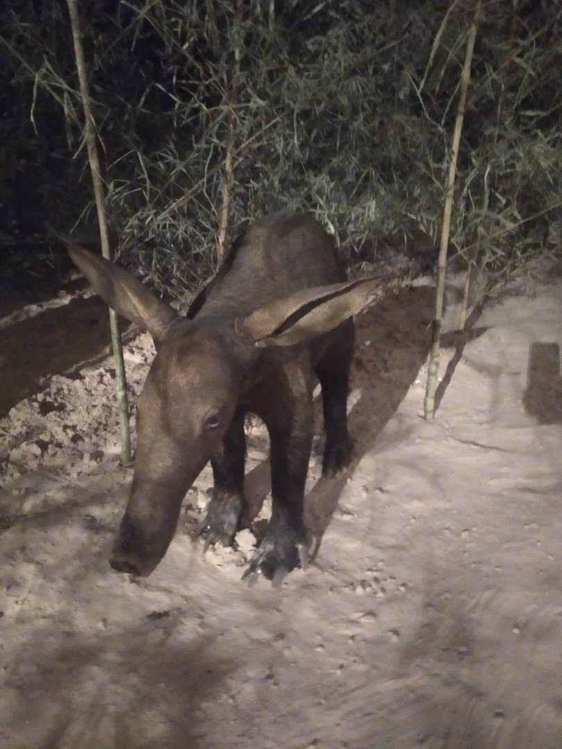 Natural Science Museum