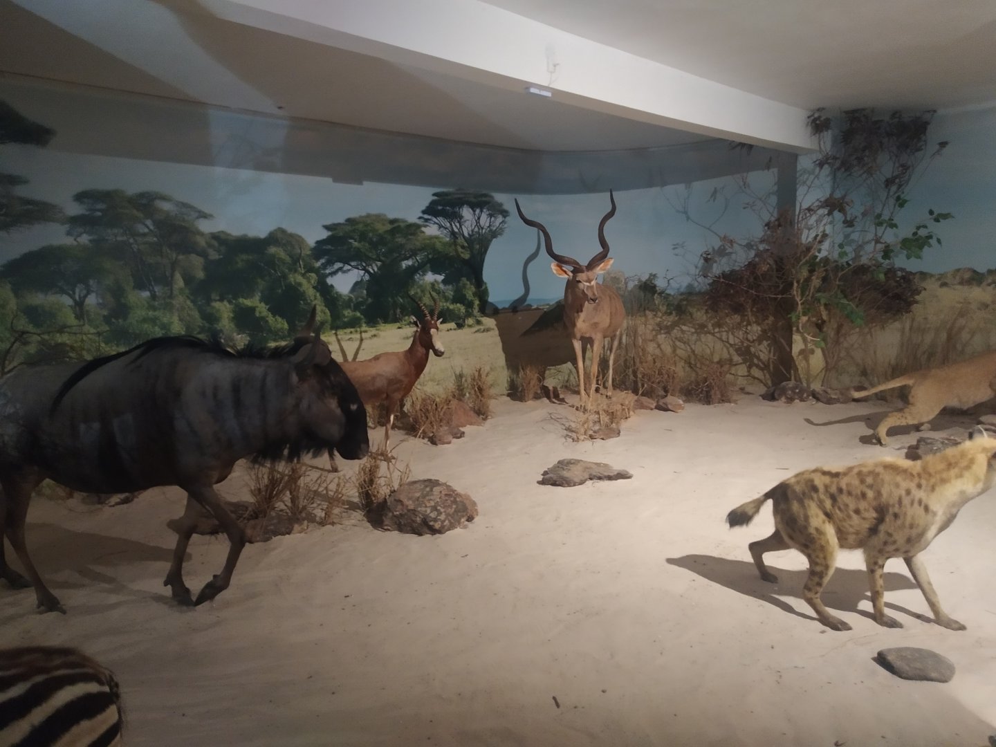 Natural Science Museum