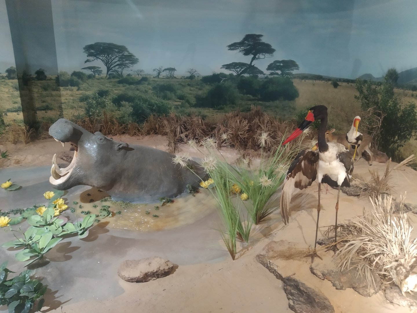 Natural Science Museum