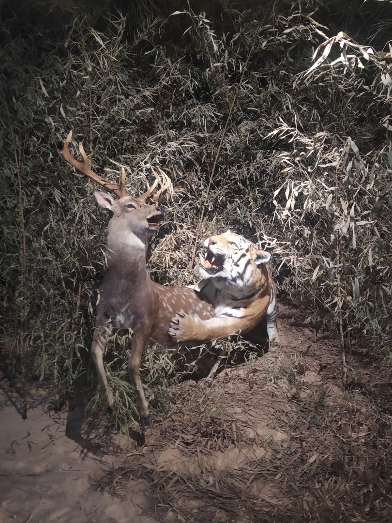 Natural Science Museum