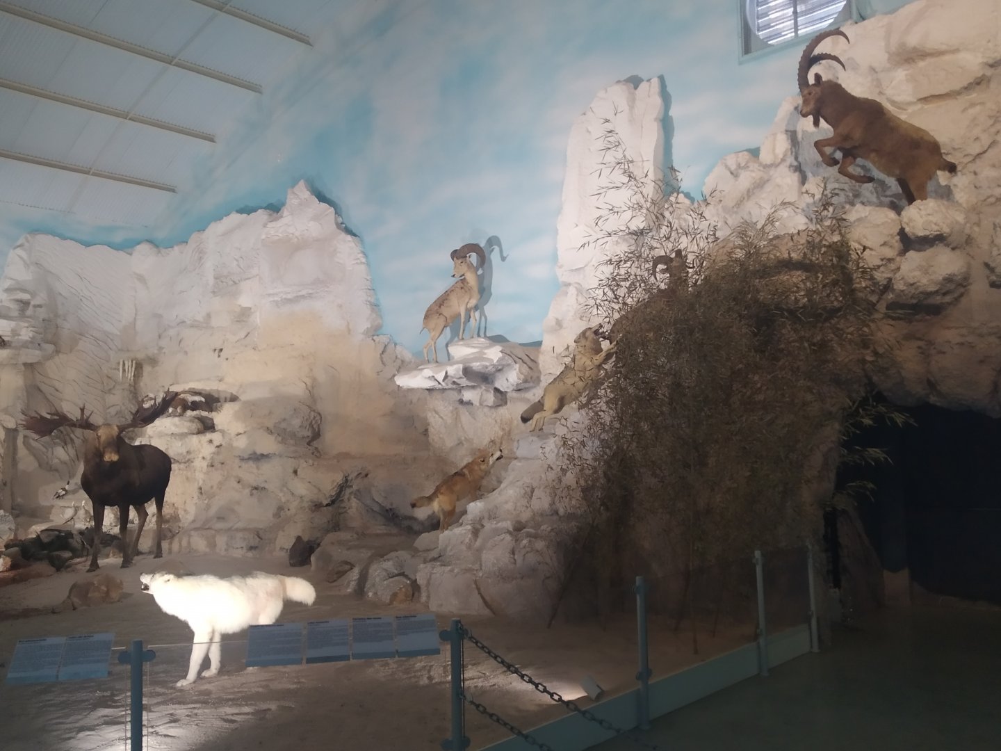 Natural Science Museum