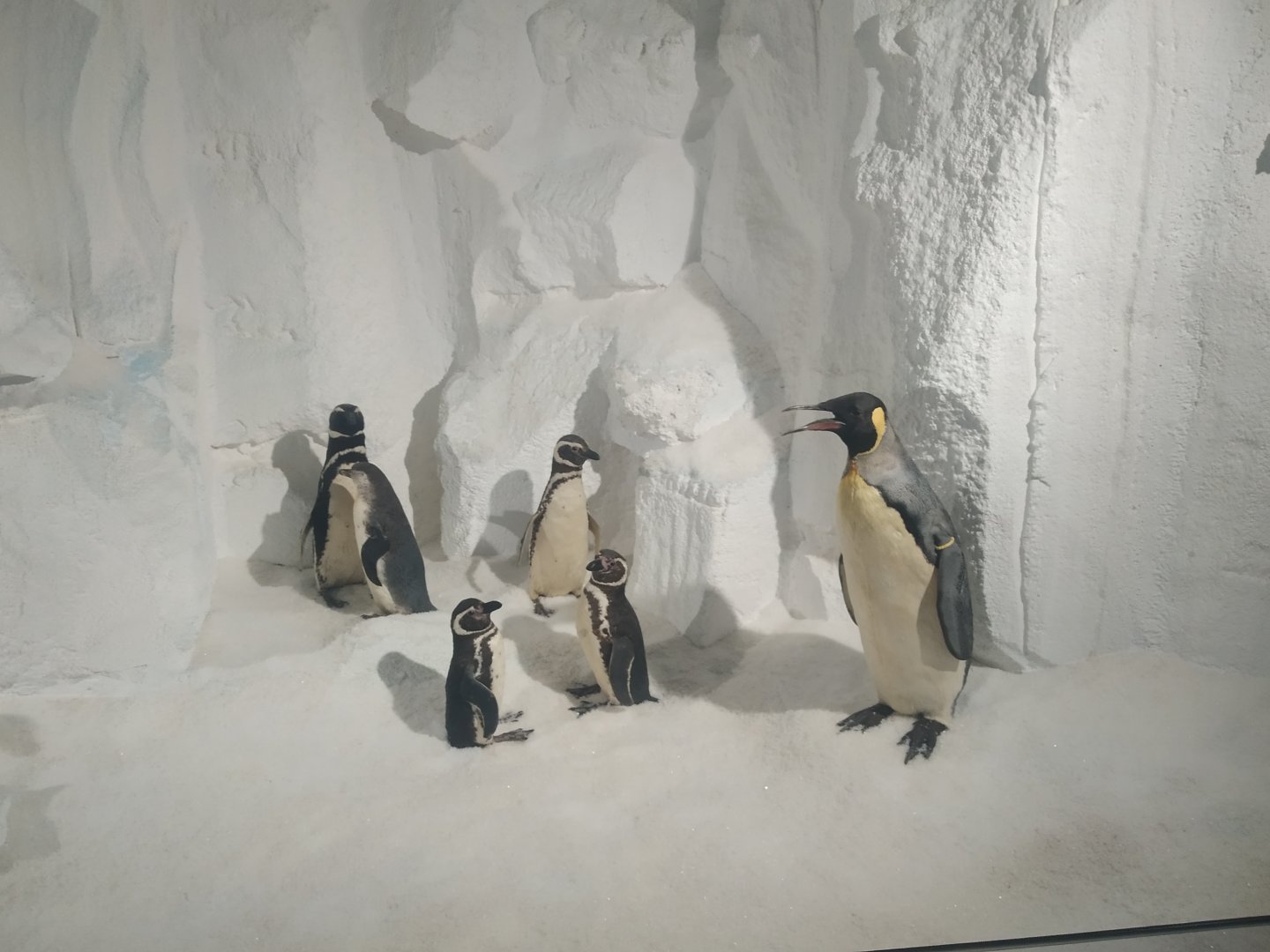 Natural Science Museum