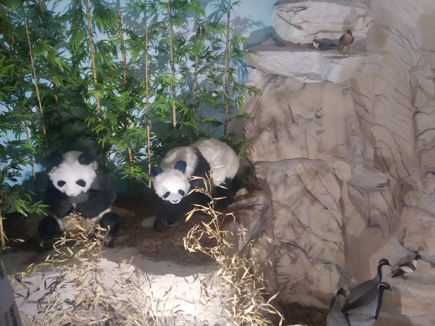 Natural Science Museum