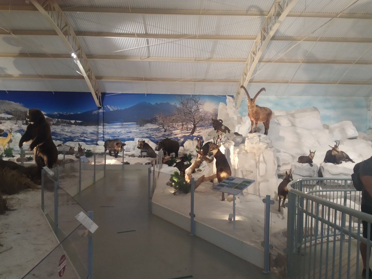 Natural Science Museum